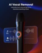 soundcore Rave 3S AI Party Speaker with 2 Wireless Microphones 24