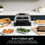 Ninja DG551 Foodi Smart XL 6-in-1 Indoor Grill with Air Fry, Roast, Bake, Broil, & Dehydrate, Foodi Smart Thermometer, 2nd Generation, Black/Silver 29