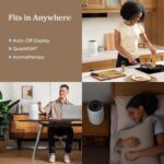 LEVOIT Air Purifiers for Bedroom Home Dorm, 3-in-1 Filter Cleaner with Fragrance Sponge for Better Sleep, Filters Smoke, Allergies, Pet Dander, Odor, Dust, Office, Desktop, Core Mini-P, White - Image 3